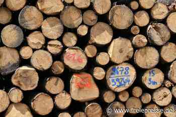 Wanderwege gesperrt: Baumfällungen im Wald zwischen Eppendorf und Leubsdorf