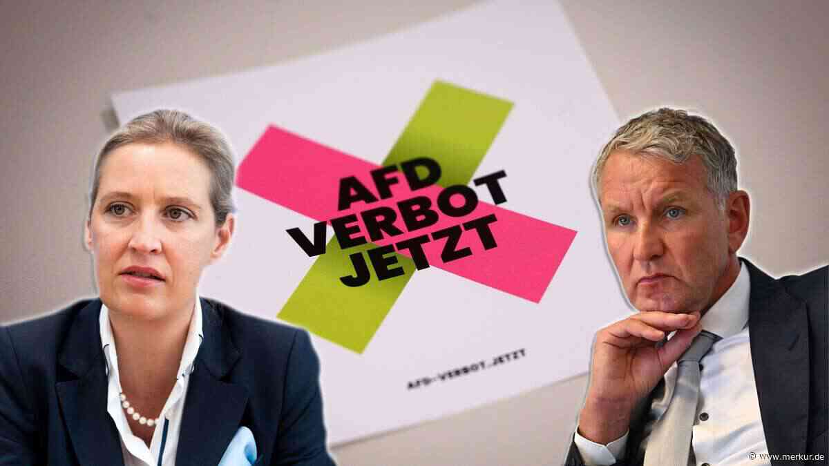 Wieso ein AfD-Verbot die Bundesrepublik ins politische Chaos stürzen würde