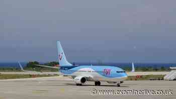 TUI flight forced to make sudden landing after bird strike causes 'fire'