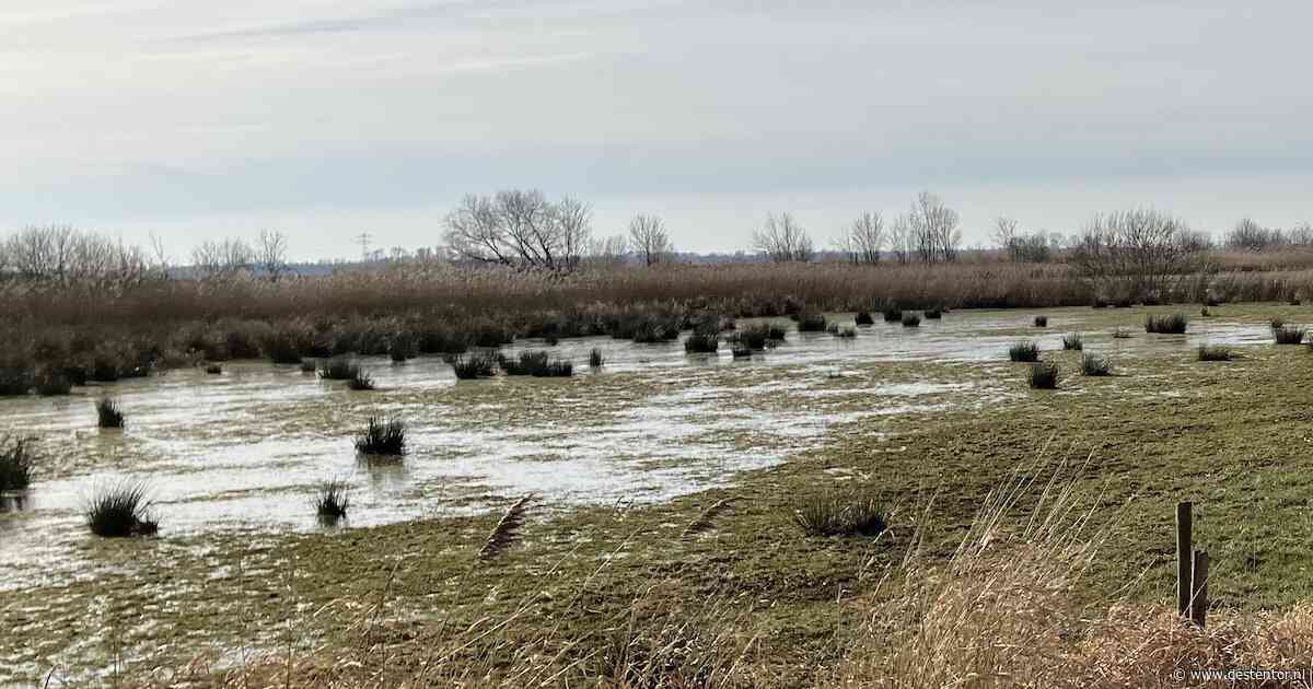 Meer ruimte voor natuur in uiterwaarden Meppelerdiep