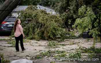Tornado confirmed in River Heights