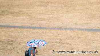 England drought update given by Environment Agency officials after rain returns