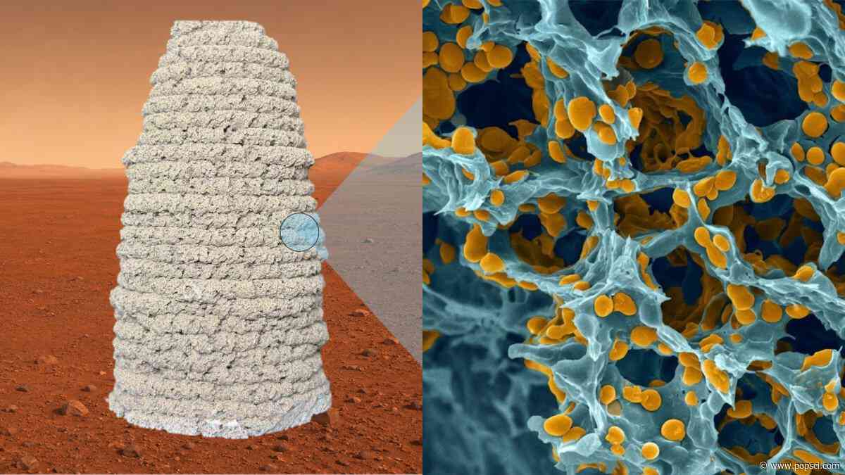 Mars astronauts could live in houses 3D-printed from freeze-dried yeast