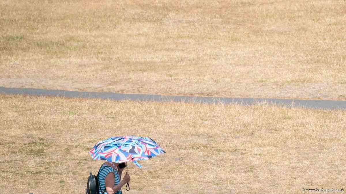 England drought update given by Environment Agency officials after rain returns