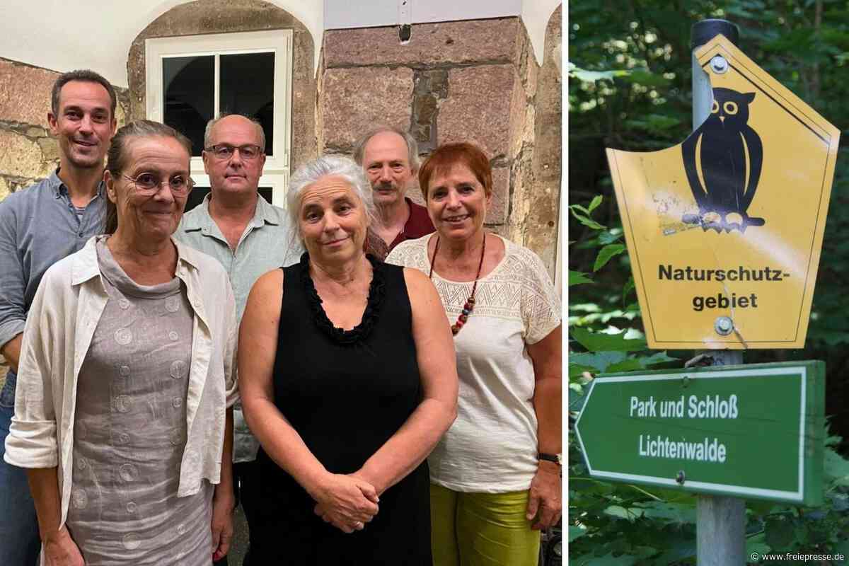 Umstrittene Baumfällungen in Lichtenwalde: Wer will eigentlich was?