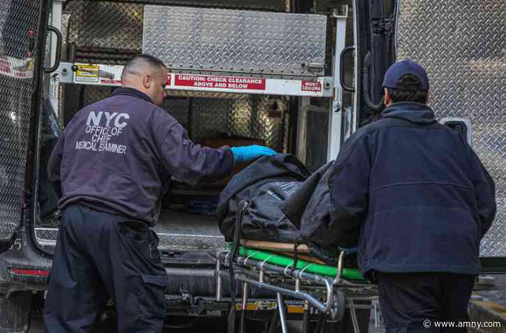 Brooklyn Central Booking prisoner is third to die this year after suffering medical emergency while detained