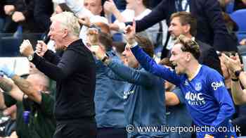 David Moyes backed to get it right for Everton in future transfer windows after 'tough' summer