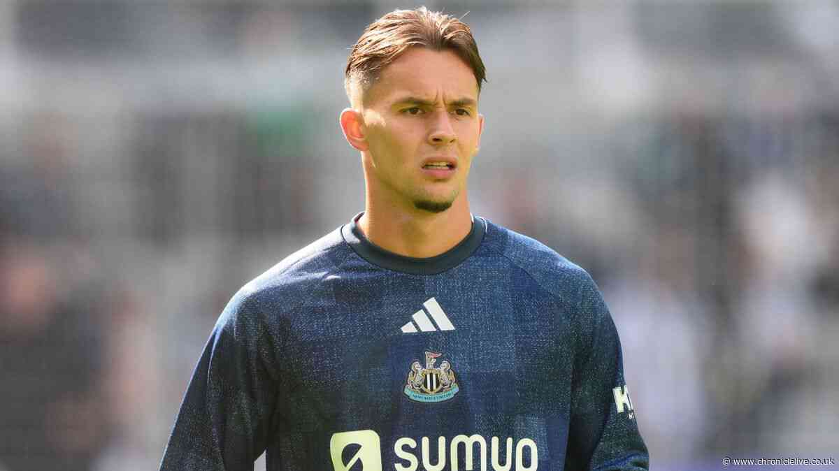 Newcastle sweat on right-back options after Amar Dedic update and Matias Fernandez-Pardo decision