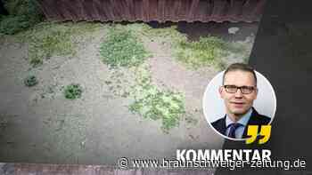 Gifhorns Flussradweg im Aller-Flussbett: Die Idee ignoriert Kosten und Risiken