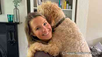Family's heartbreak as their healthy Goldendoodle dies of heat stroke after being left unsupervised for hours at boarding home during 30C heatwave
