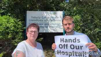 Uproar over proposals to remove dozens of hospital beds in Powys