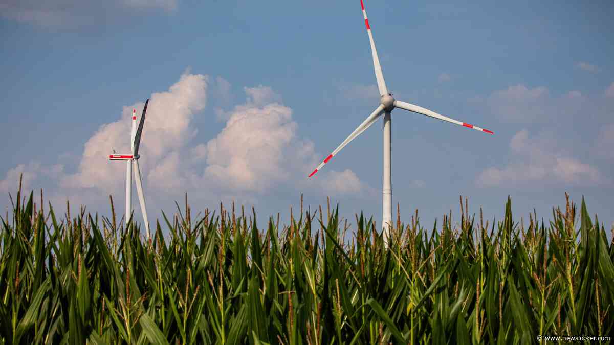 Achterhoekse grensbewoners boeken succes in strijd tegen windturbines op Duitse grond: ’De molens ontsieren het plattelandsgebied’