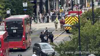 Four stabbed in London by 'machete-wielding gang running through high street'