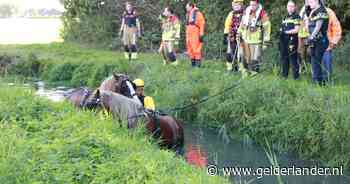 Paarden en koets belanden in sloot in Wadenoijen