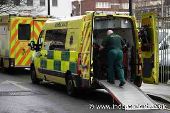 Four hospitalised after alleged stabbing on London high street