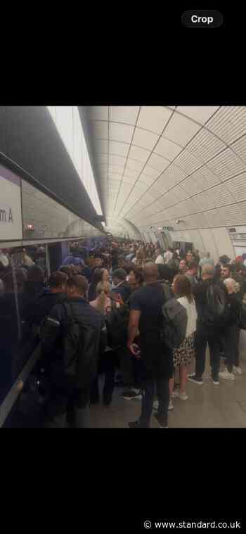 London travel news LIVE: Overground line suspended due to trespasser as disruption ‘hits evening rush hour’