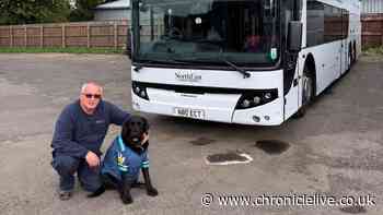 Meet Newcastle United's beloved 'football dog' who travels to every away match