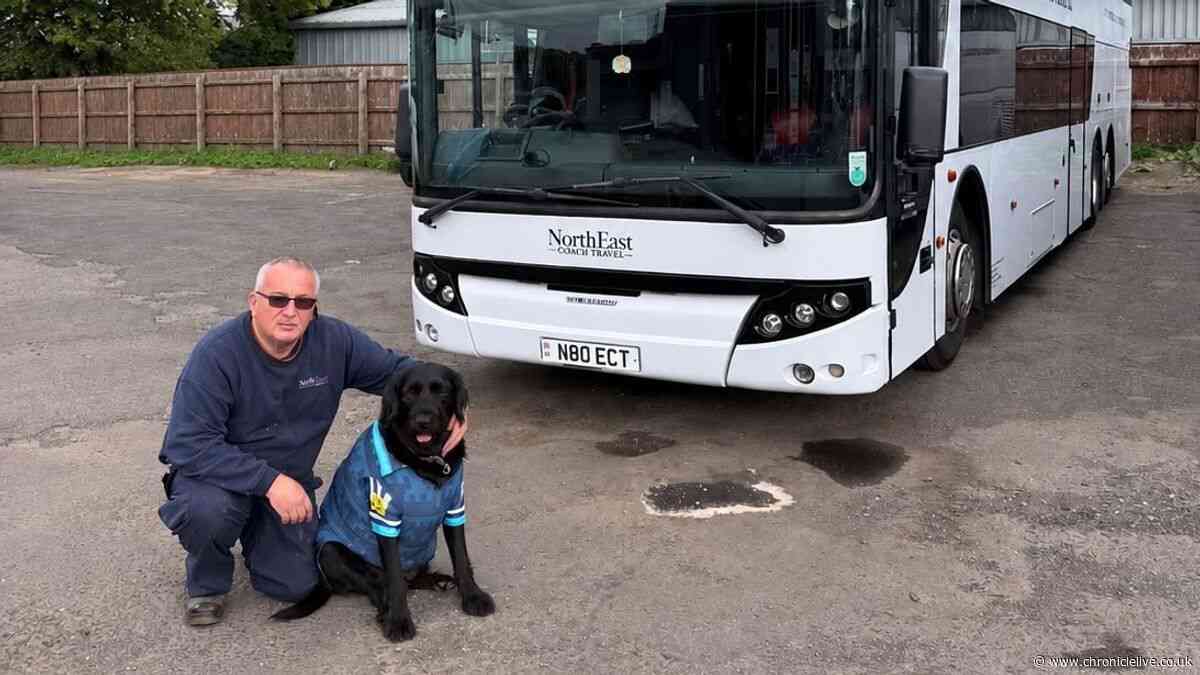Meet Newcastle United's beloved 'football dog' who travels to every away match
