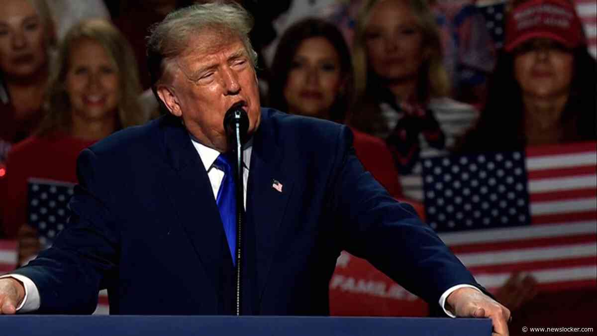 'Dat is een heel bijzondere belofte van Donald Trump'