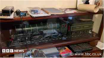 'Perpetual trauma' after model train collection thefts