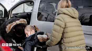 SEND school transport delays 'affecting hundreds'