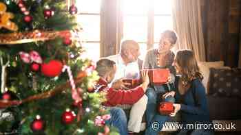 Toy firms prepare to tap into booming 'kidult' craze as Christmas 2026 trend predictions released