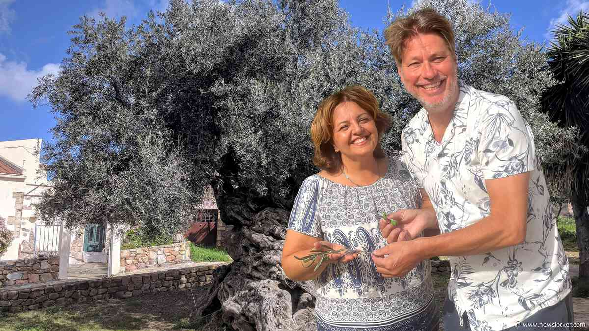 Sander bezoekt een olijfboom van 4000 jaar oud met een stamomtrek van 12,5 meter: ’Mythische status’