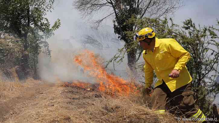 "Verano complejo": Meteorología prevé calores sobre 40 grados en Chile