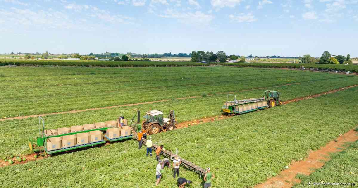 Why the world's biggest food producers aren't always the biggest suppliers