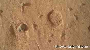 NASA discovers mysterious holes punched into the surface of Mars - and scientists have no idea what created them