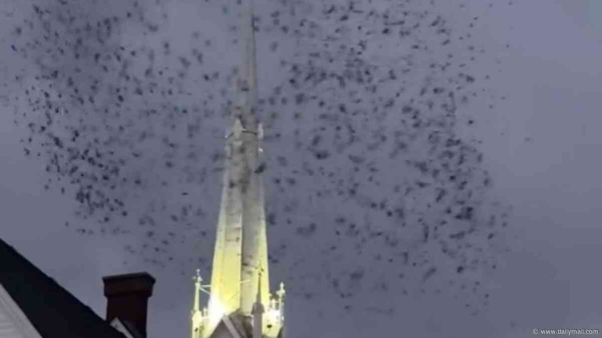 Thousands of birds descend on Oregon church in chilling 'End of Days' scene
