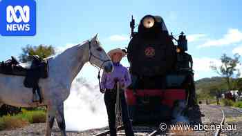 Horses hop on steam train for unique ride through Flinders Ranges