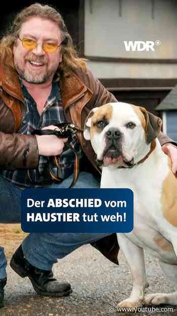 Armin Rohde über den Verlust von Hund Ike | WDR #shorts #kölnertreff