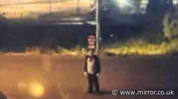 Police hunt 'Cat in the Hat' figure after teenage girl 'chased' through streets