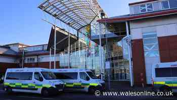 Wales Fertility Institute confirms reopening date after closure due to staff shortage