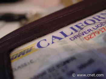 Over 153 Million Driver’s Licenses Were Stolen by Hackers. Here’s What to Know