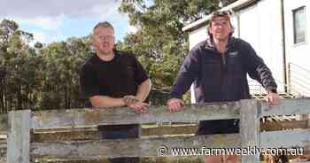 'Once in a lifetime': how a share-farming deal helped the O'Neill brothers grow