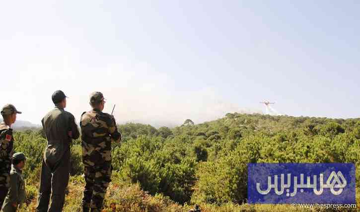 الحرائق تتربص بغابات في المغرب