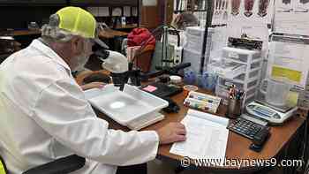 Dengue virus cases nearly double in Hillsborough County