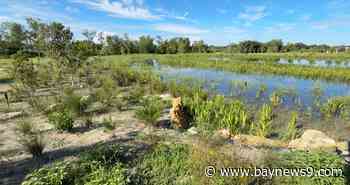 Groups transforming Sarasota County property into place where wildlife and people can thrive