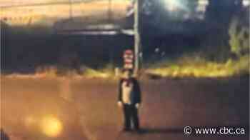 Cat in the Hat suspect who chased a teen girl in B.C. appears to be a trend copycat