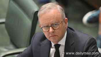 Why Albanese is letting Labor premiers fight in public and what it says about his future: PETER VAN ONSELEN