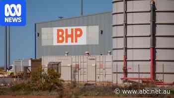 BHP subsidiary class action begins over public holiday work