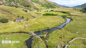 Species 'at risk of vanishing' from area of Wales' largest national park