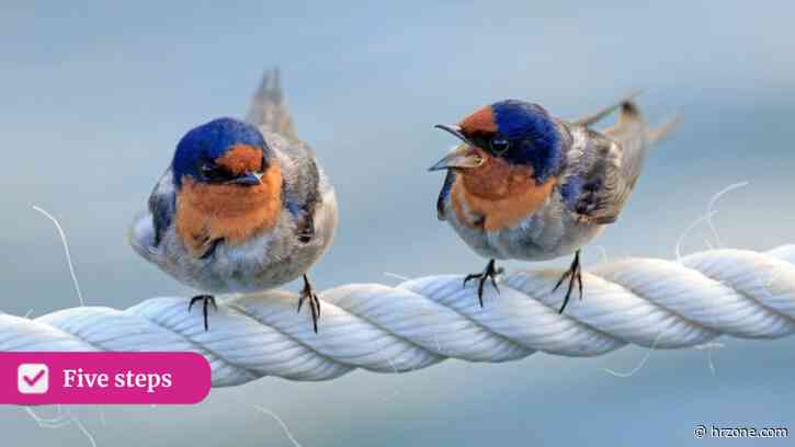 Five steps: Perfect the science of disagreeing well