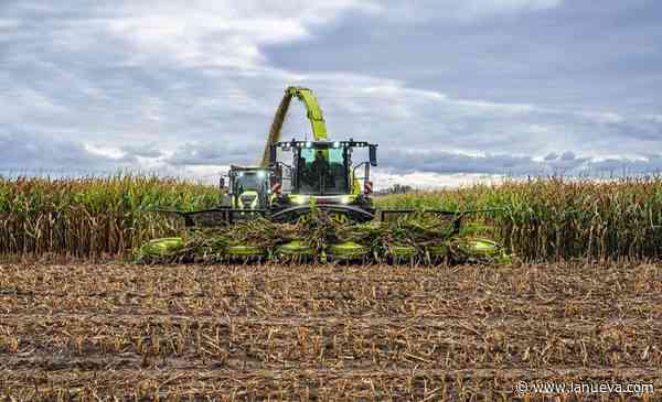 Hacia 2035: el agro blinda su hegemonía exportadora frente a la energía y la minería