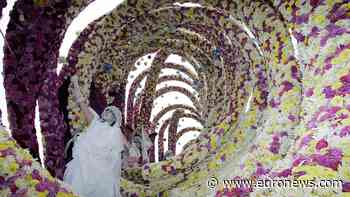 400,000 Dahlias and Giant Floats: Netherlands Hosts Spectacular Flower Parade
