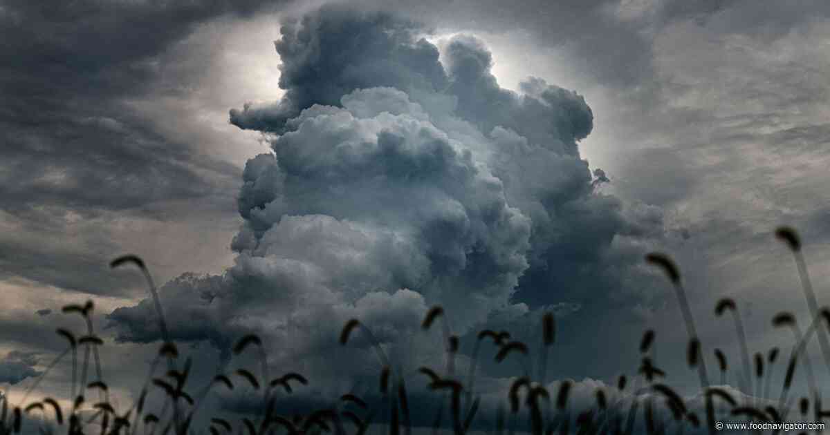 Is food investing enough in climate adaptation?