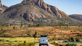 A 2,500km road trip in search of wild lemurs