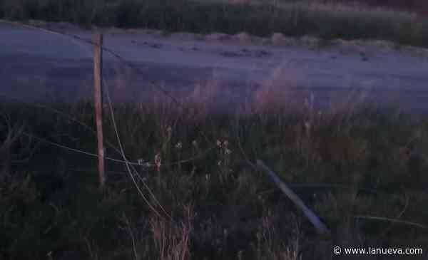 Preocupación por casos de abigeato en campos de Villarino